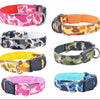 Release Lights Nylon Pet Collars